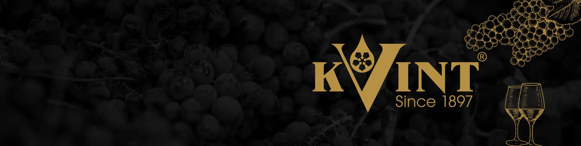 kvint-Brand Banner