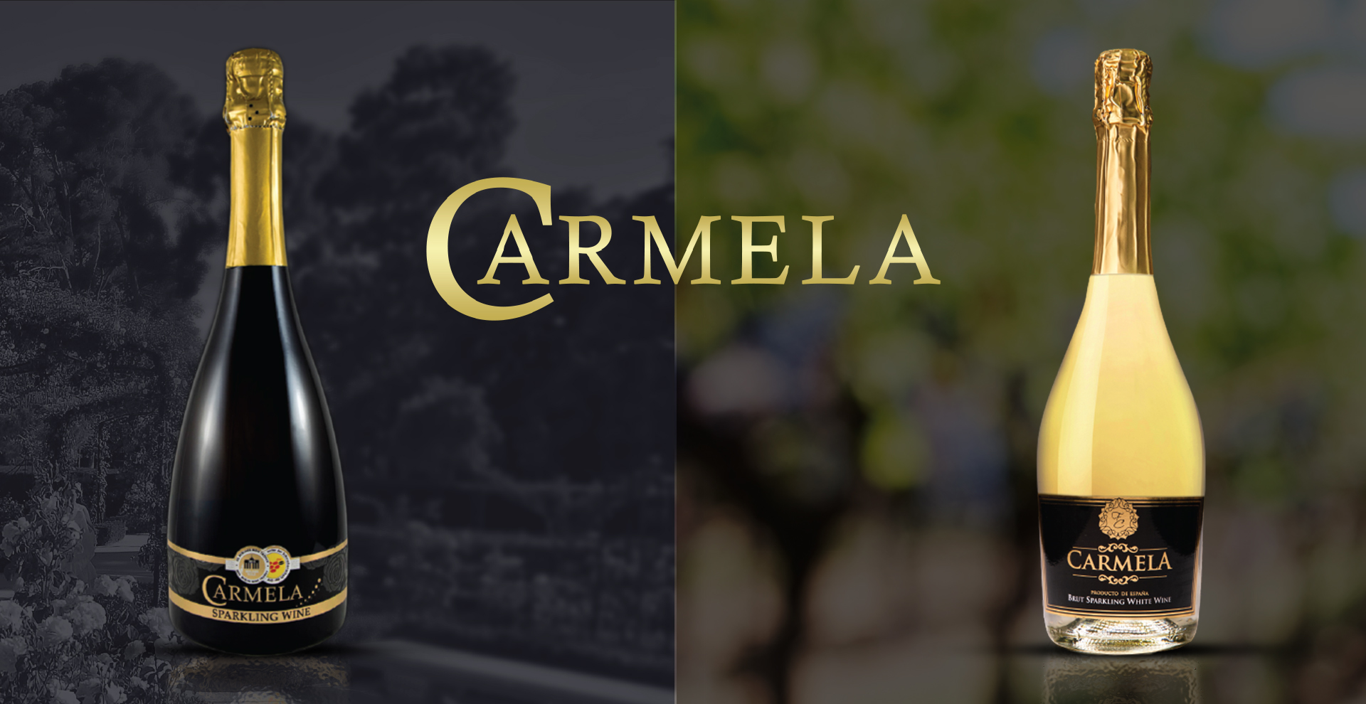 Brand Banner
